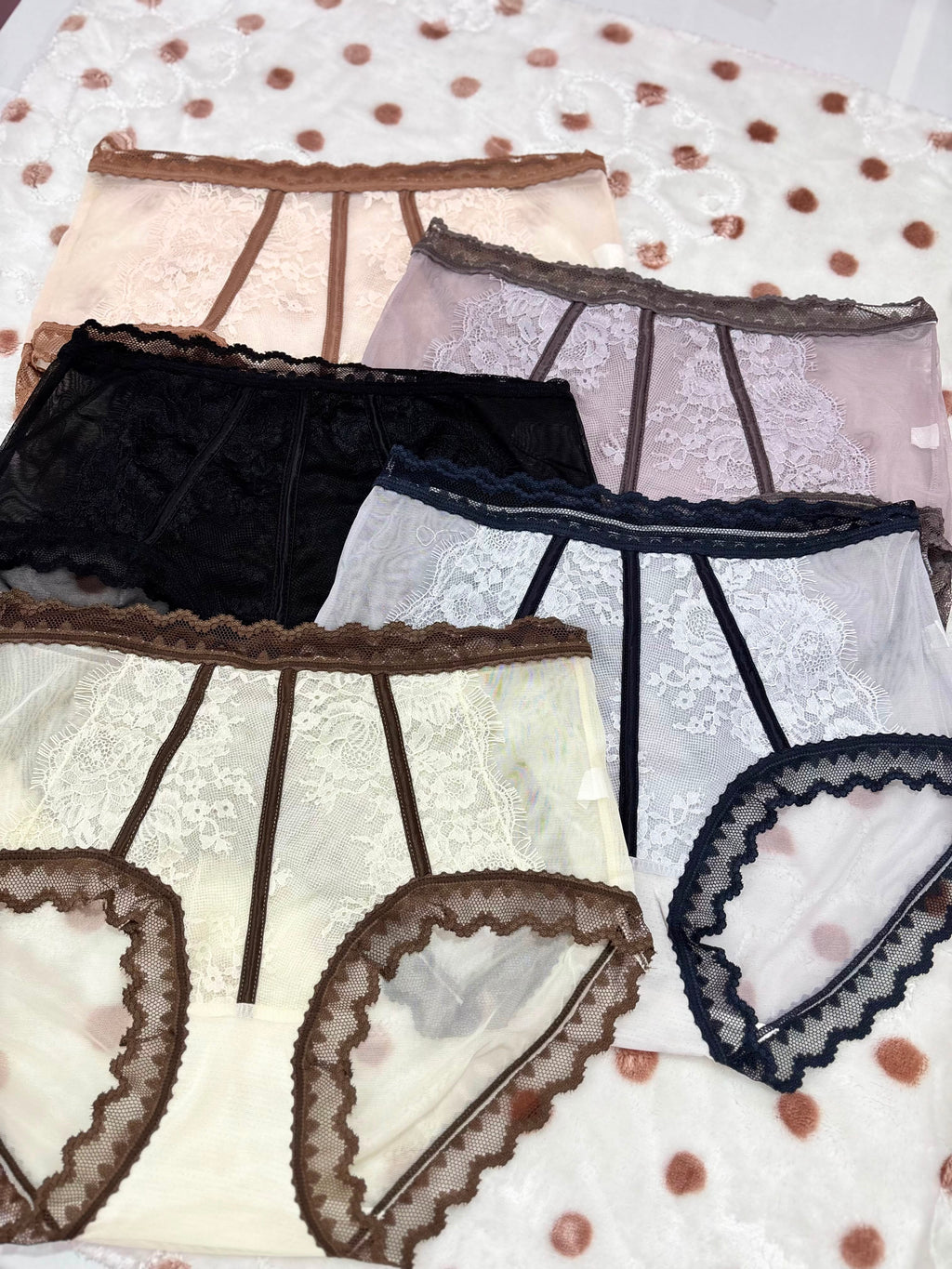Lace Panties 🎀 (HAP34)