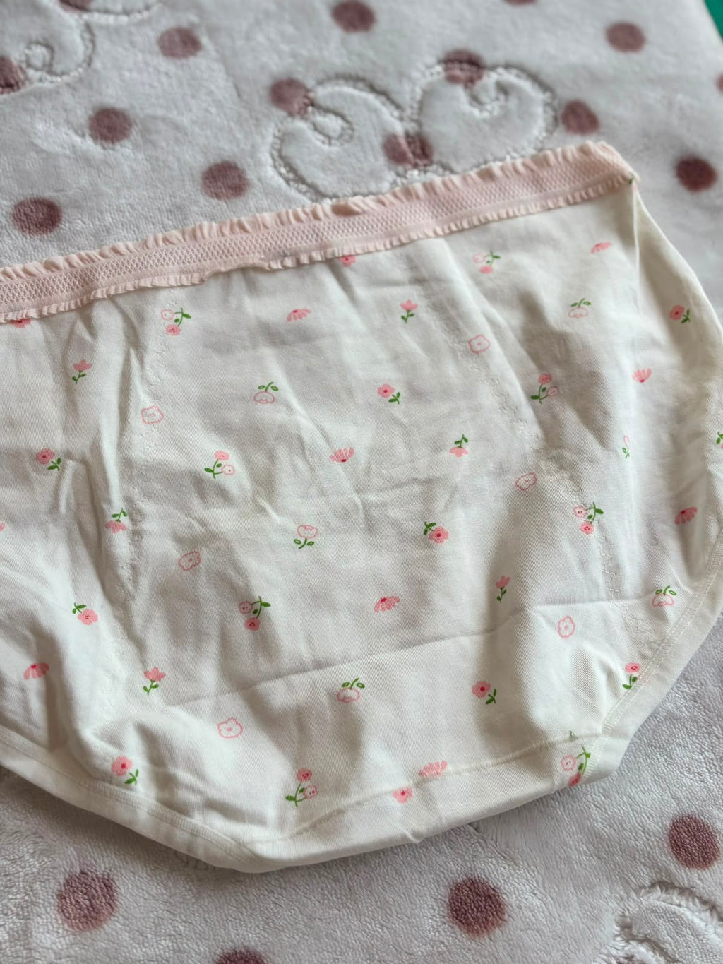 Period Panty 🎀 (TP26)