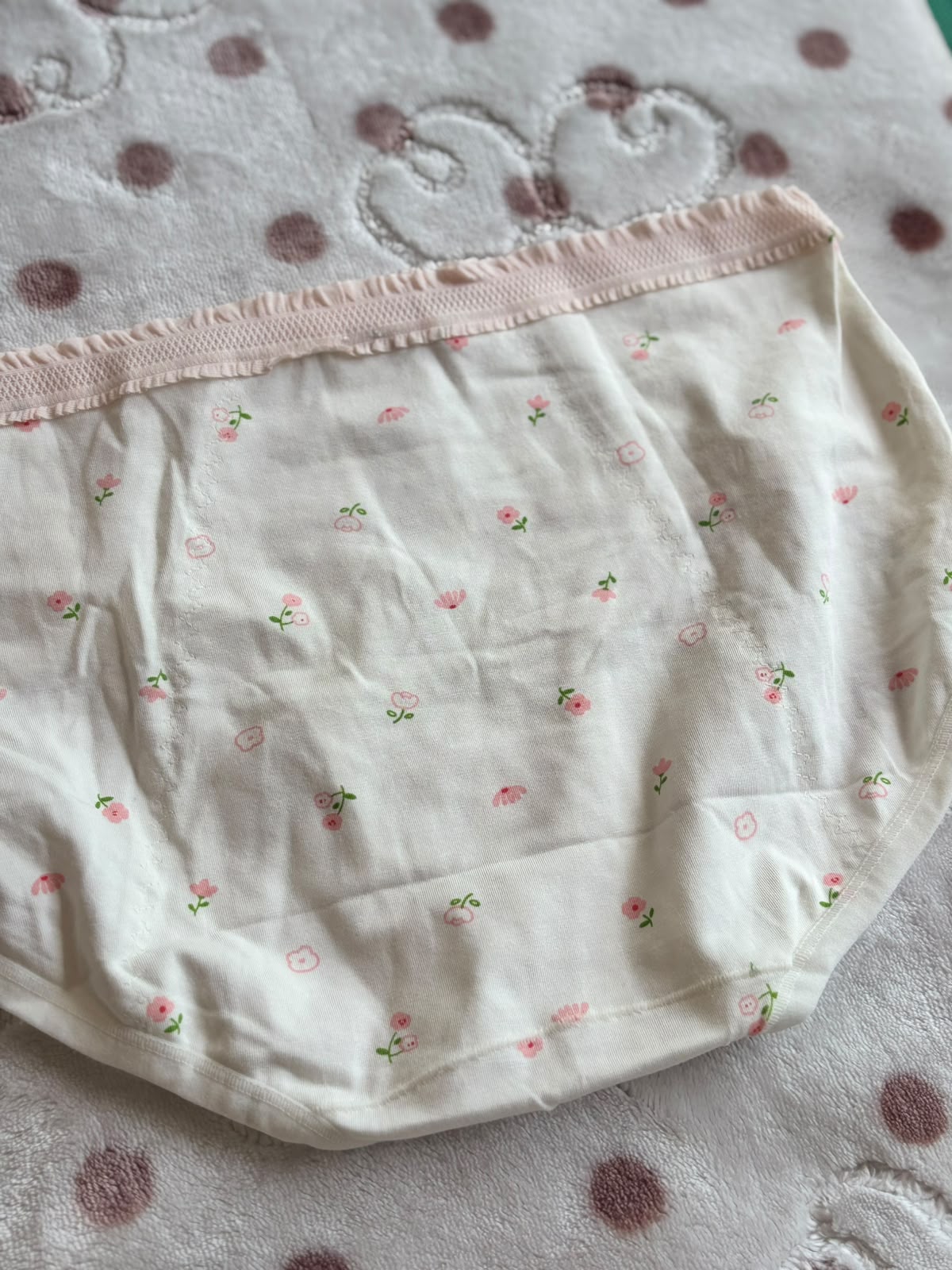 Period Panty 🎀 (TP26)
