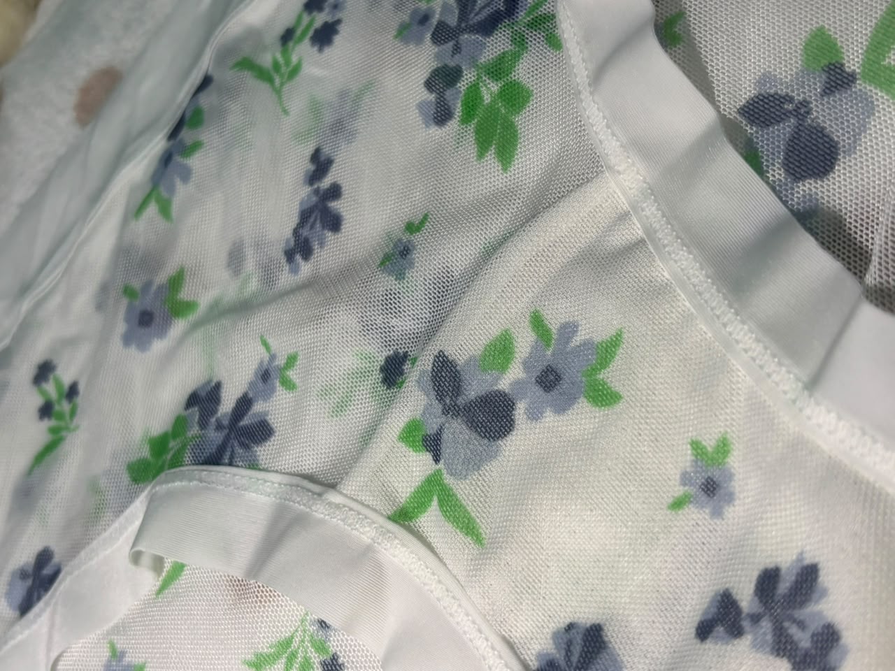 Net panties (TP6)