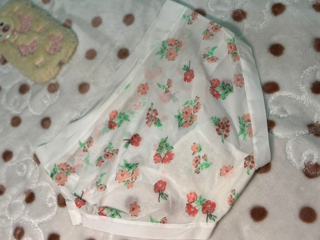 Net panties (TP6)