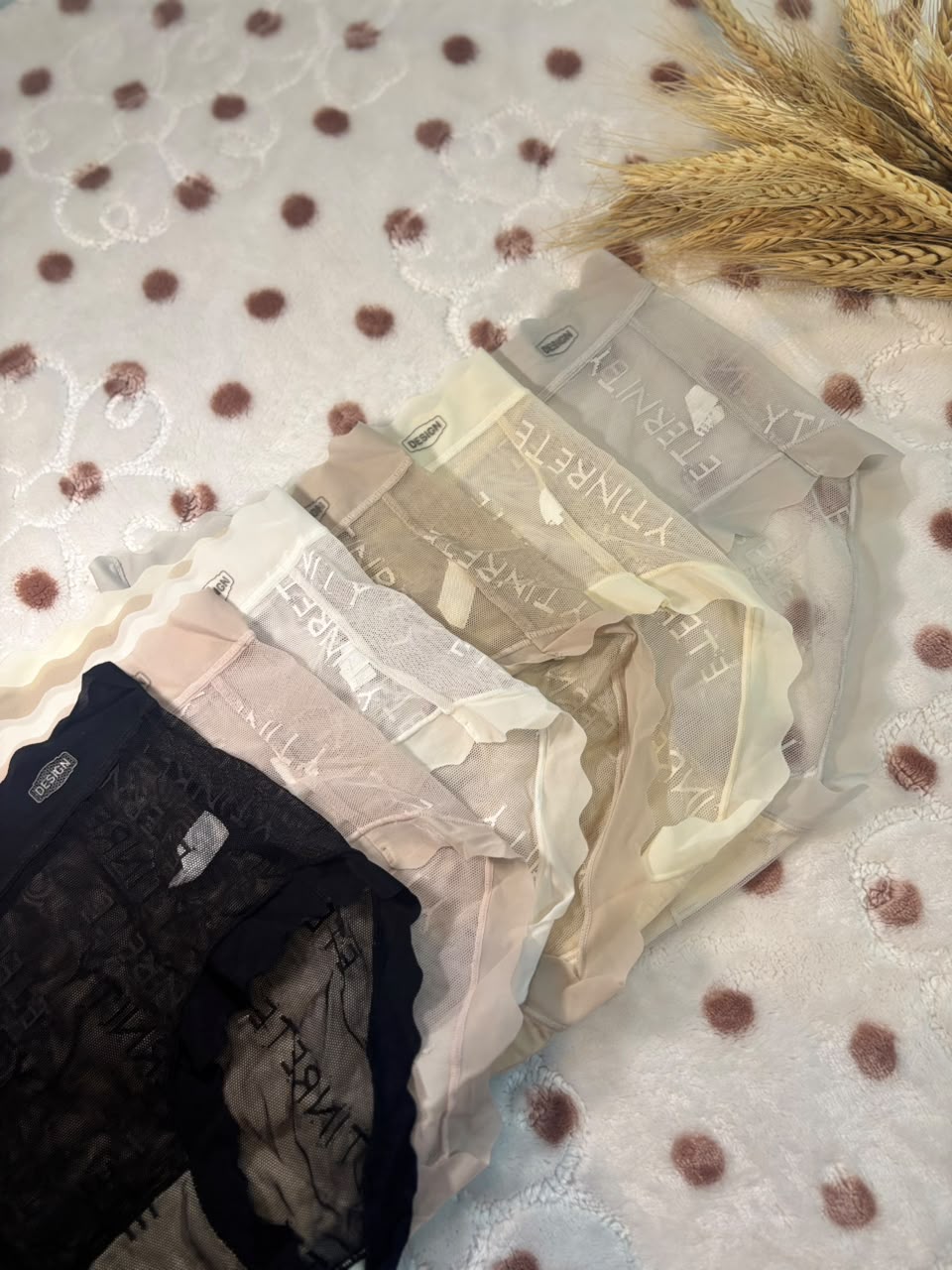Net seamless panty 🎀 WAP7